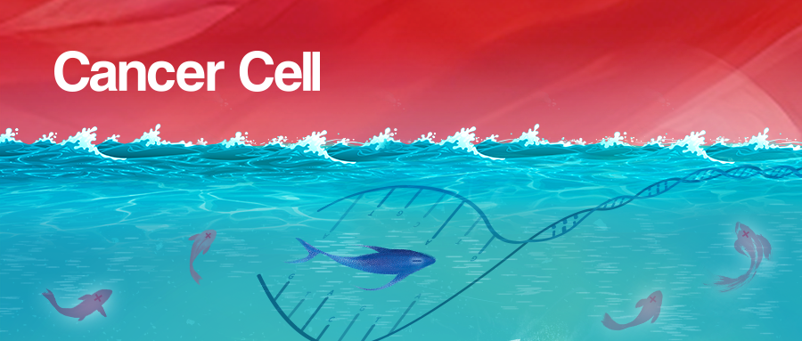 【Cancer Cell，IF 50.3】吉因加与吴一龙教授团队再发重磅成果：MRD可预测局晚期NSCLC根治性放化疗临床结局