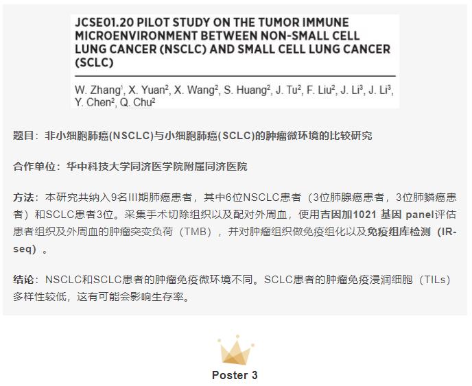 网-3.jpg