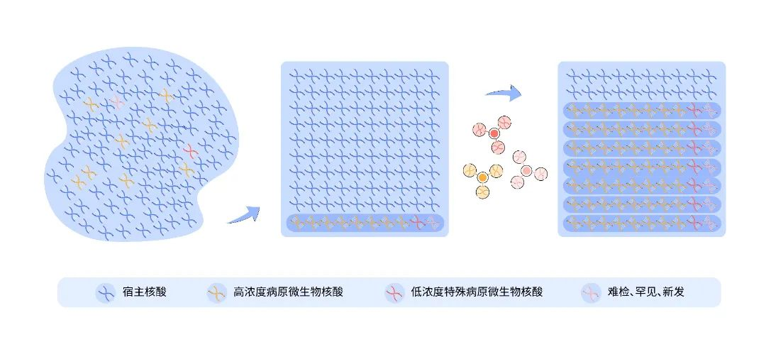 图片17.png